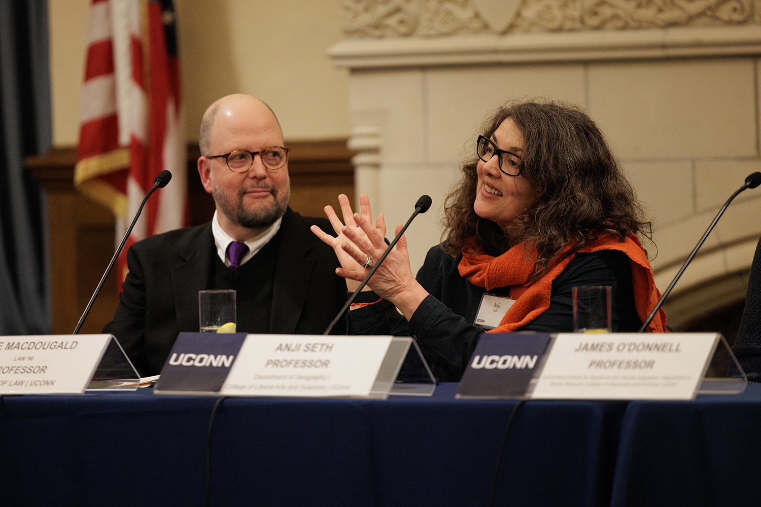 Anji Seth sits a table during panel discussion.