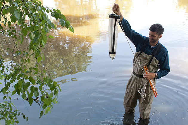 Mark Urban, Assistant Professor, Ecology and Evolutionary Biology.