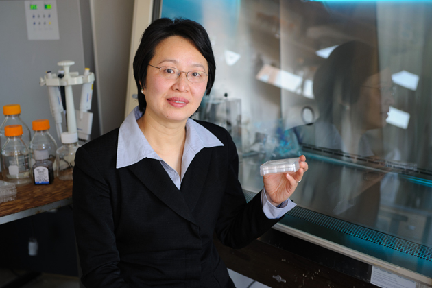 Mei Wei, associate professor of chemical materials and biomolecular engineering, in her lab at the Institute for Materials Science. (Peter Morenus/UConn Photo)