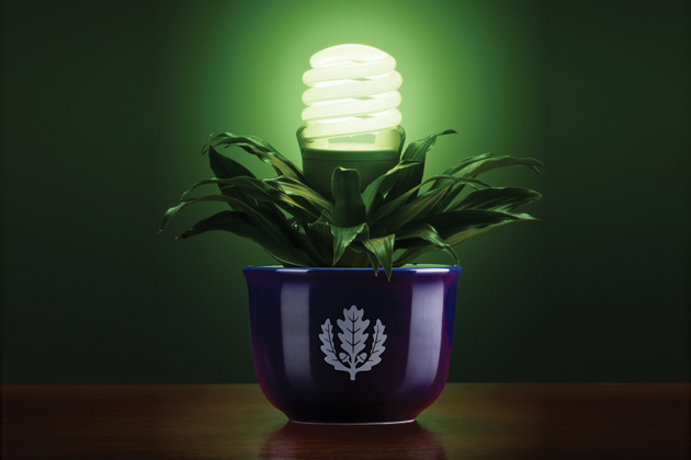 Photo of a light bulb in a plant pot with the UConn logo representing going green.
