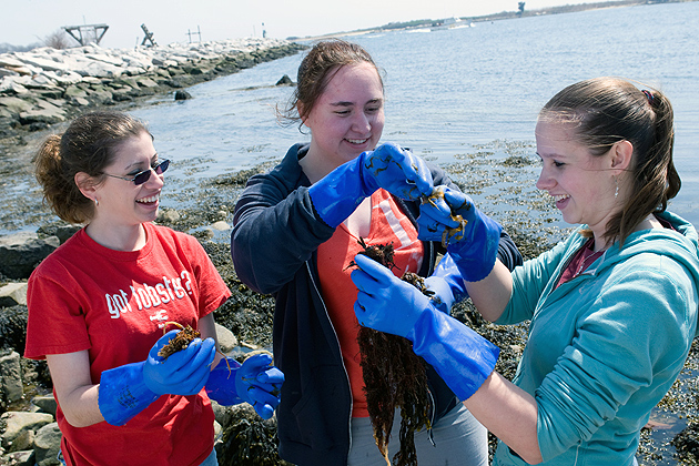 Students working outside in a science/lab class at the Avery Point campus. (Al Ferreira for UConn)