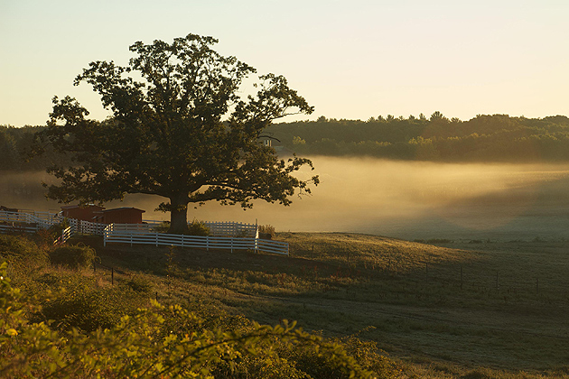 The pastoral beauty of Horse Barn Hilll on the Storrs Campus.