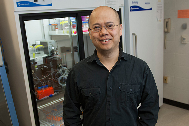 Assistant professor Yao Lin is inspired by the elements of nature to create innovative materials. (Daniel Buttrey/UConn Photo)