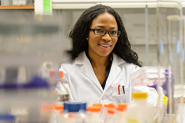 Sophia Nnenna Ononye, a graduate student, with plates of cancer cells on Nov. 7, 2012. (Peter Morenus/UConn Photo)