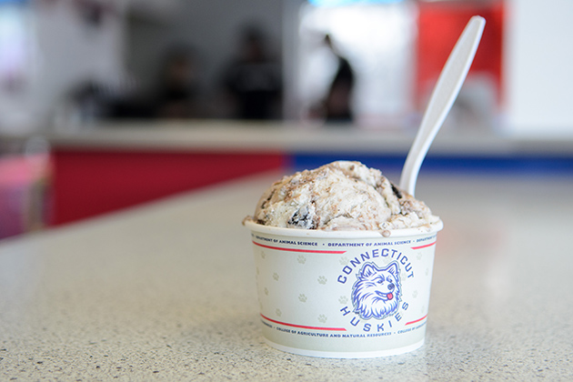 The official 2013 UConn Senior Scoop flavor at the Dairy Bar on Jan. 25, 2013. (Ariel Dowski/UConn Photo)