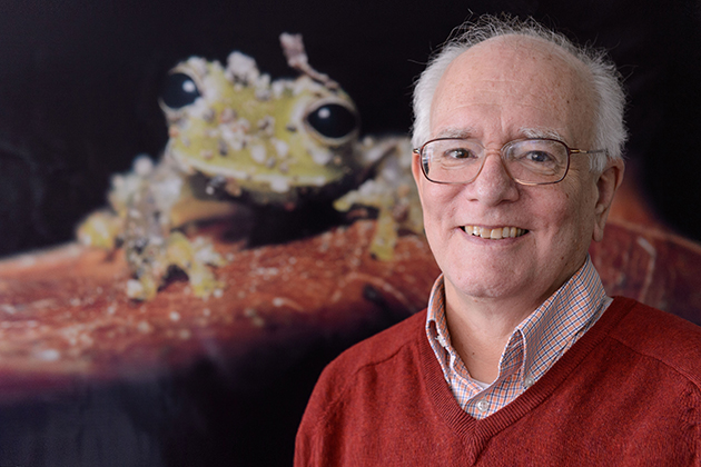 Kentwood Wells, professor and department head of ecology and evolutionary biology on Jan. 15, 2013. (Peter Morenus/UConn Photo)