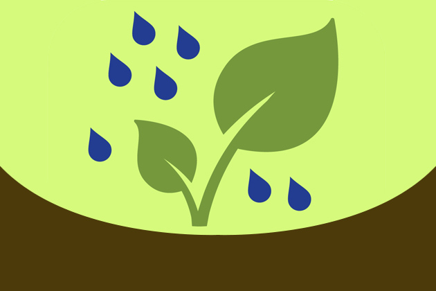 Rain garden app - featured