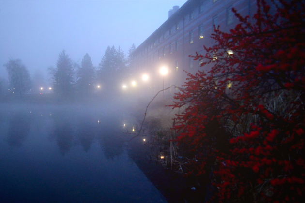 The Chemistry Building at night. (Bret Eckhardt/UConn Photo)