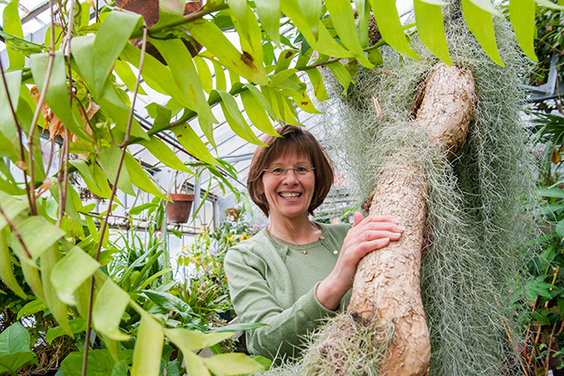 Pam Diggle, professor of ecology and evolutionary biology. (Sean Flynn/UConn Photo)