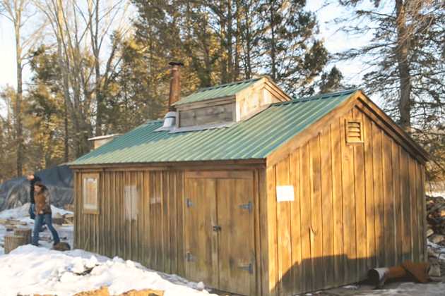 UConn Sugar Shack, off Horsebarn Hill Road. (Elizabeth Caron/UConn Photo)