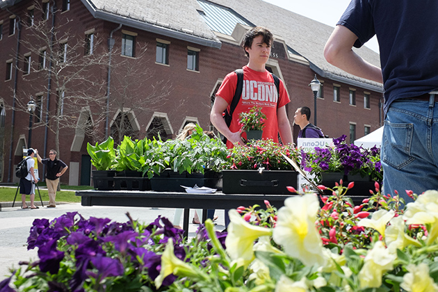 Rowan Lucy '16 (BUS) buys a few plants from the UConn Blooms table during the UConn Earth Day Spring Fling held along Fairfield Way on April 22, 2014. (Peter Morenus/UConn Photo)