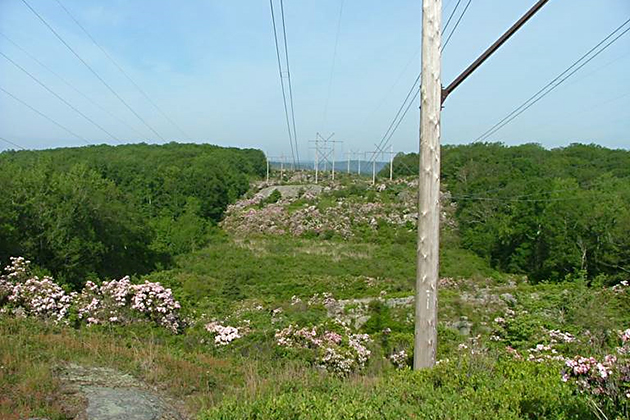 New London Powerline (Photo by Robert Askins-Connecticut College)