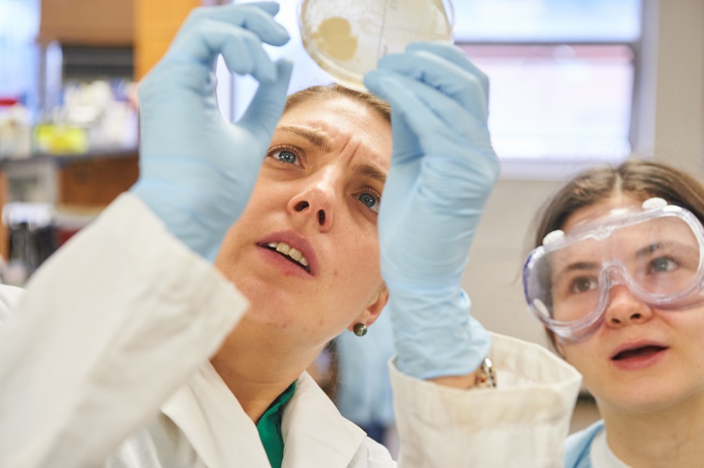 Nichole Broderick, assistant professor of molecular and cell biology, left, and Katherine Tiernan '19 (ENG) look at a bacteria culture plate during a 'Microbe Hunting' class, part of a global collaboration between students and microbiologists called the Small World Initiative. (Peter Morenus/UConn Photo)