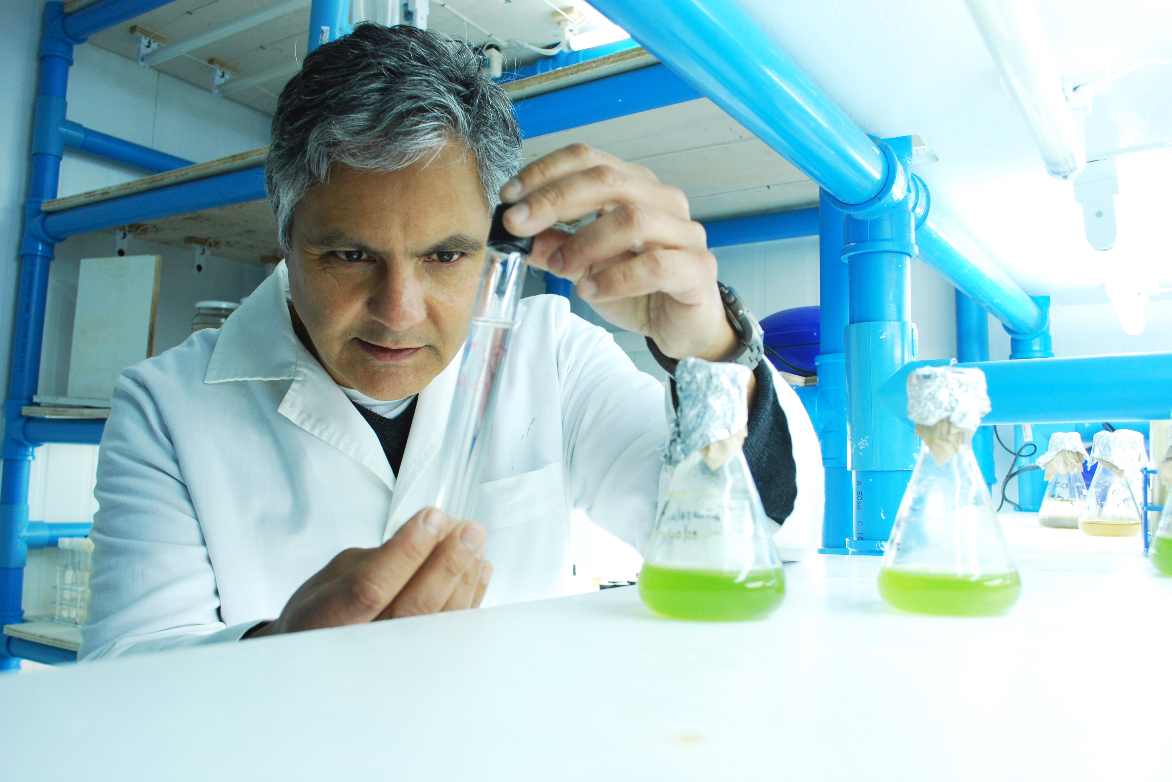 Hans Dam in a laboratory in Chile.(Photo courtesy of Hans Dam)