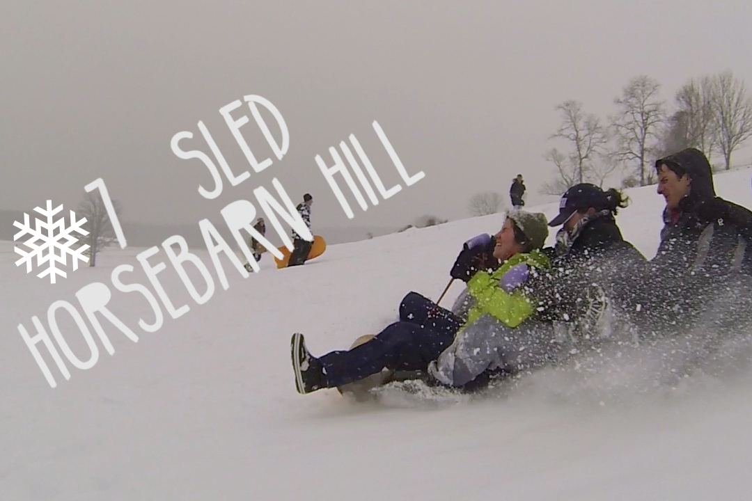 Sledding down Horsebarn Hill. (Elizabeth Caron/UConn Photo)