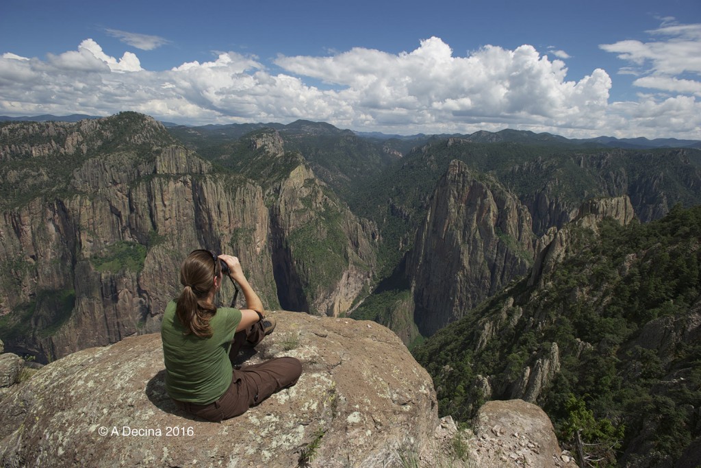 Alicia Decina, Copper Canyon, Mexico. Credit: A. Decina.