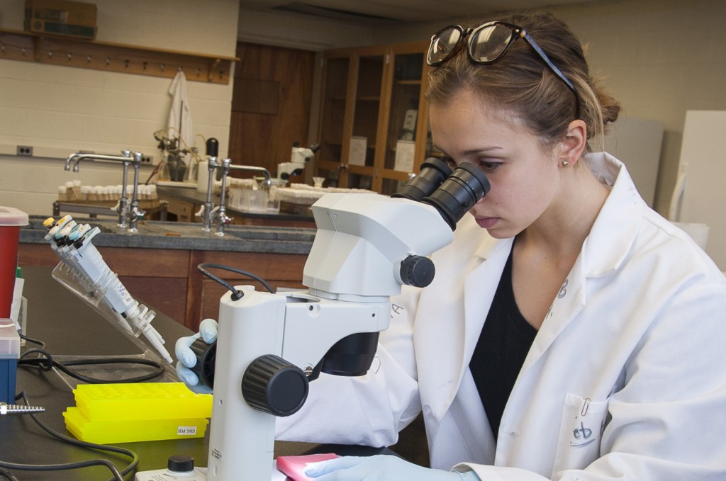 Student-athlete Kennedy Meier in a biology lab on March 23, 2016. (Sean Flynn/UConn Photo)