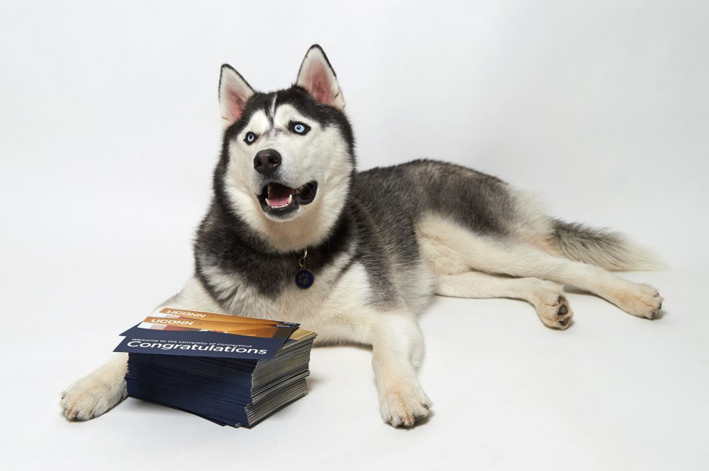 Jonathan XIV with a stack of admission acceptance packets on Feb. 26, 2015. (Peter Morenus/UConn Photo)