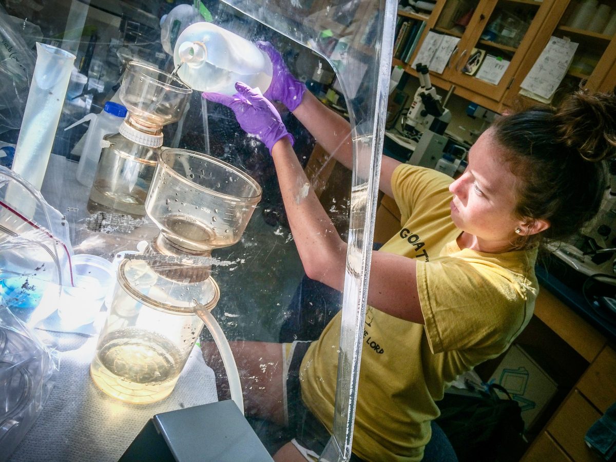 Emily Seelen in Lab