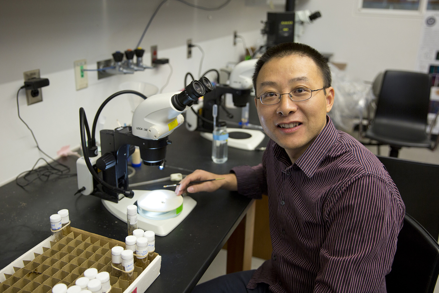 Assistant professor of physiology and neurobiology Jianjun Sun on Nov. 4, 2016. (Bri Diaz/UConn Photo)