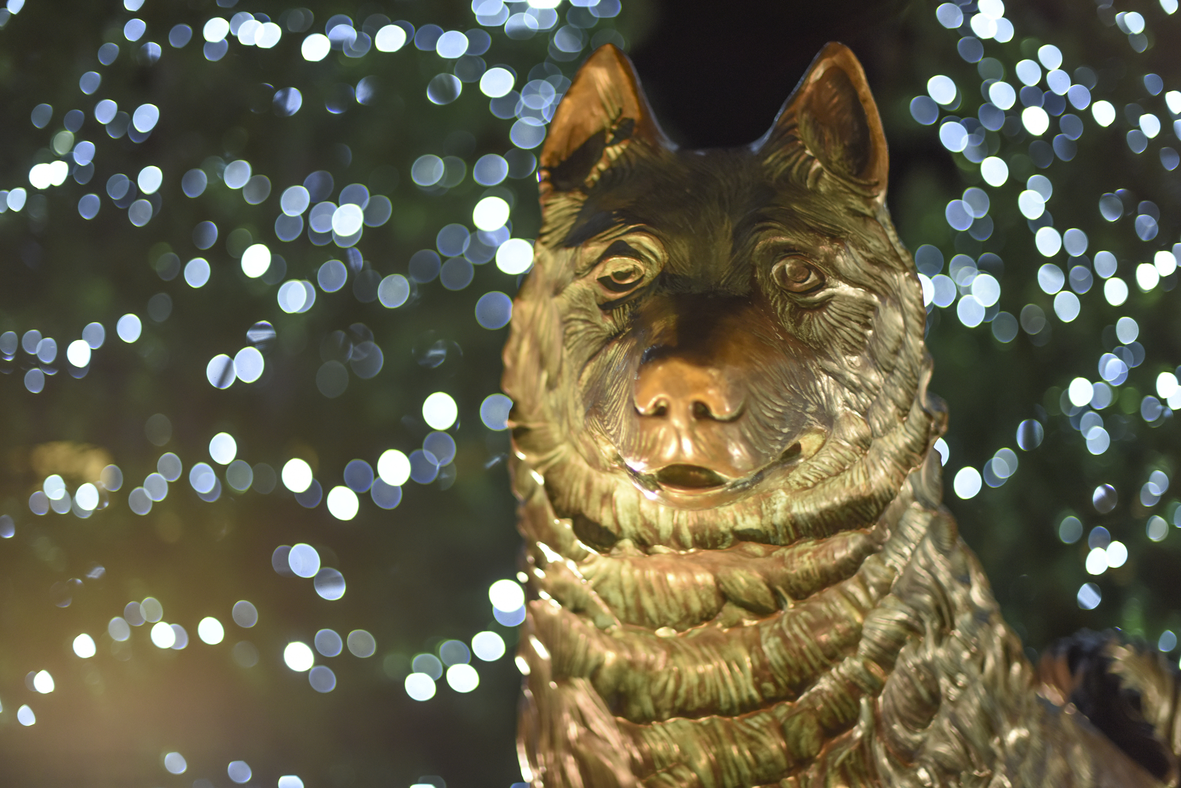 Campus landmarks dazzle in holiday lights. (Ryan Glista/UConn Photo)