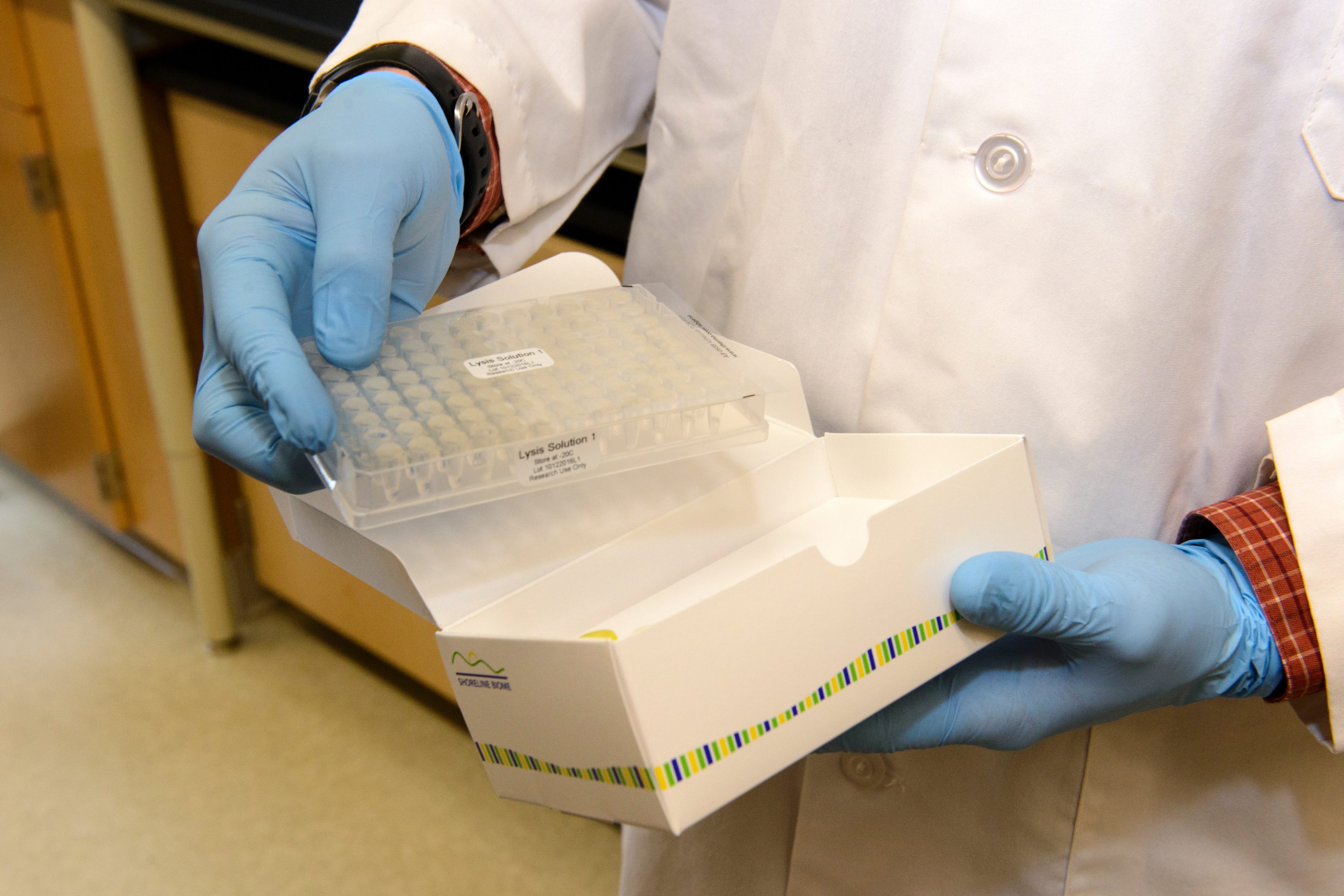 Mark Driscoll holds the product that Shoreline Biome is developing -- a kit for identifying and quantifying the bacteria in the human microbiome. This kit takes 96 samples, such as human stool, cracks open the bacteria, and selects a 'fingerprint' region of the bacterial DNA to send off to DNA sequencing. The fingerprint region allows the bacteria to be identified down to the subspecies level. (Janine Gelineau/UConn Health Photo)