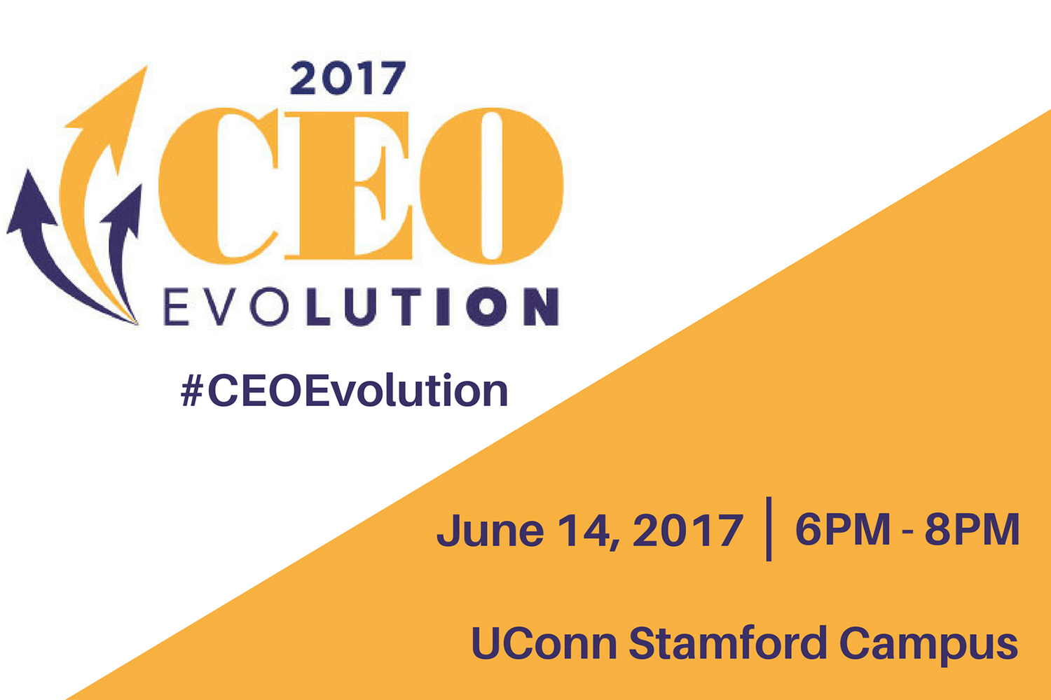 CEO Evolution 2017