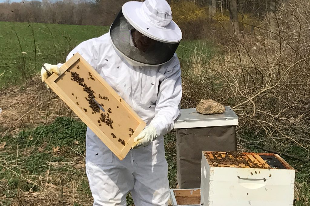 Senior Arielle Sherman-Golembeski is a Husky rower and a three-time member of the AAC All-Academic Team. She's also a beekeeper.