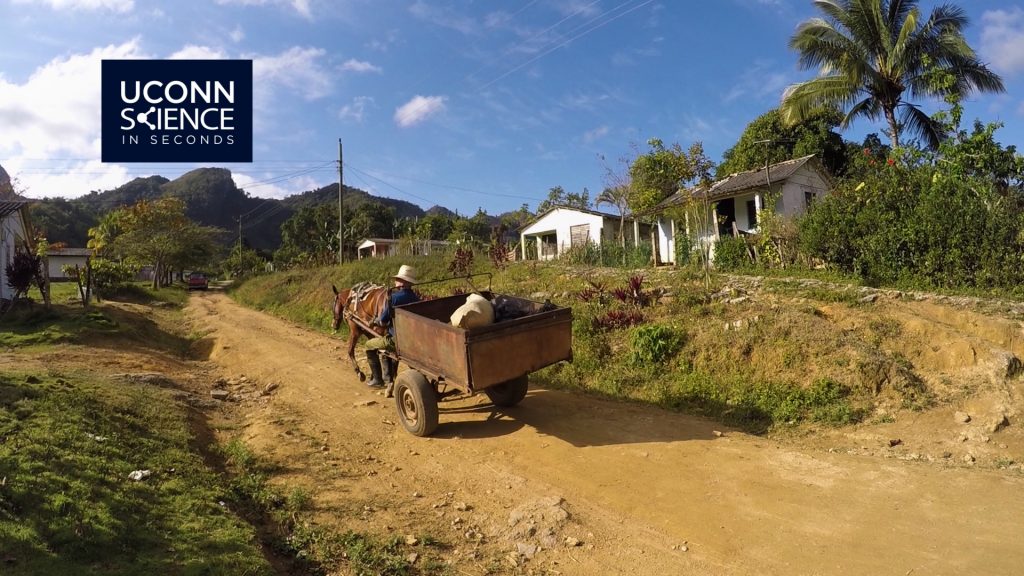 UConn biostatistics professor Tania Huedo-Medina visits Cuba regularly for research.