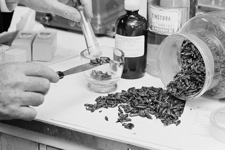 A pharmacist prepares to grind up a potion from unidentified pills the old-fashioned way. (AP Photo/Ruben Goldberg, via The Conversation)