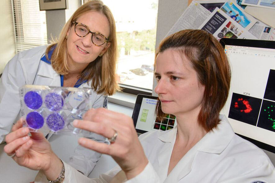 Sandra Weller, left, and postdoctoral fellow Lorry Grady, examine a sample. (Janine Gelineau/UConn Health Photo)