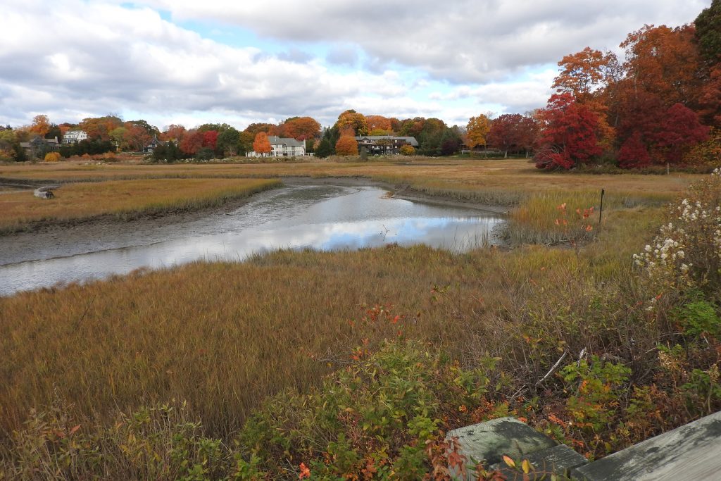 Fence Creek, Madison, Connecticut.