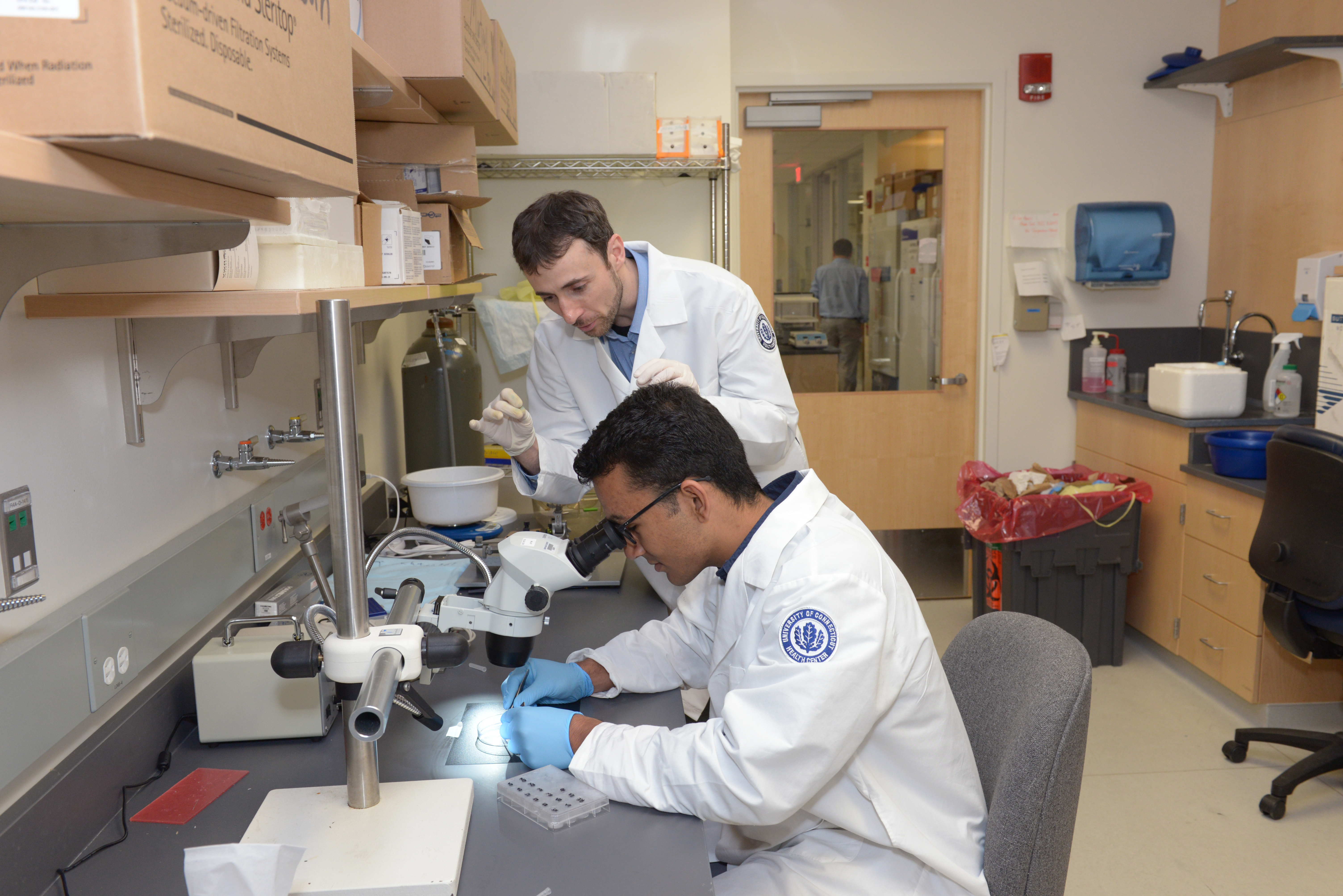 David Martinelli (standing), assistant professor of neuroscience, works with Rohit Makol '20 (ENG), an undergraduate in the UConn Health summer internship program. (Frank Barton/UConn Health Photo)