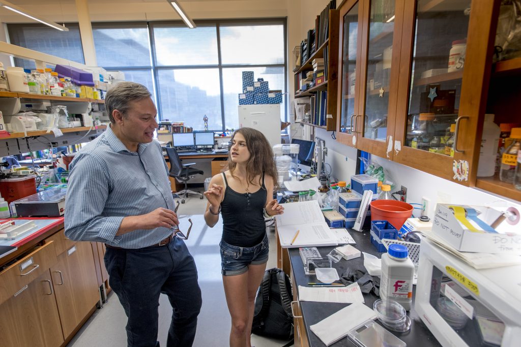 'Being a Husky teaches you how to be a better person – not just on campus, but for the rest of your life,' says Randazzo, an undergraduate researcher in the lab of Professor Joseph LoTurco and a student in the Special Program in Medicine as well as an athlete on the Women's Track team. (Sean Flynn/UConn Photo)