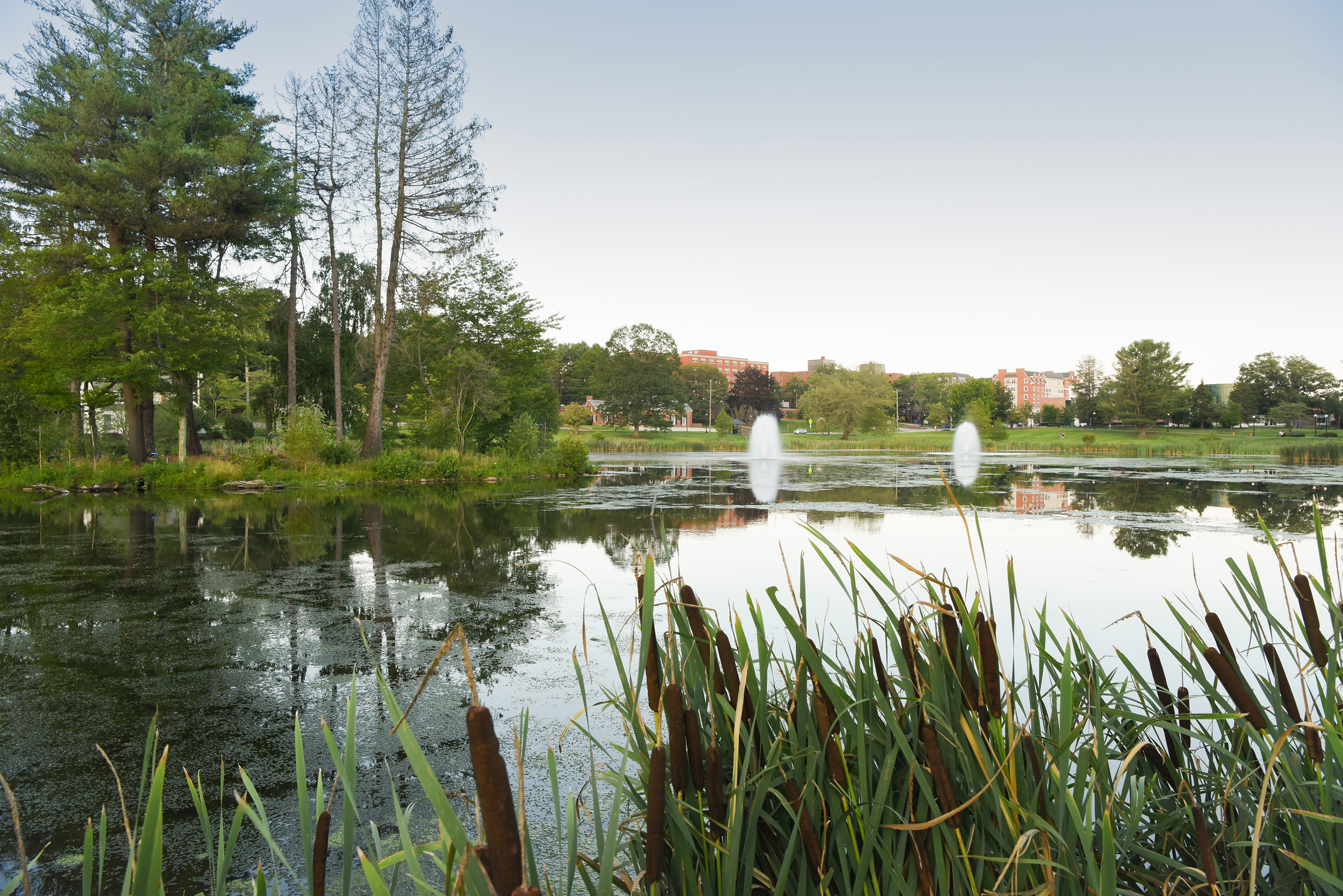 A view of Mirror Lake on July 19, 2017. (Peter Morenus/UConn Photo)