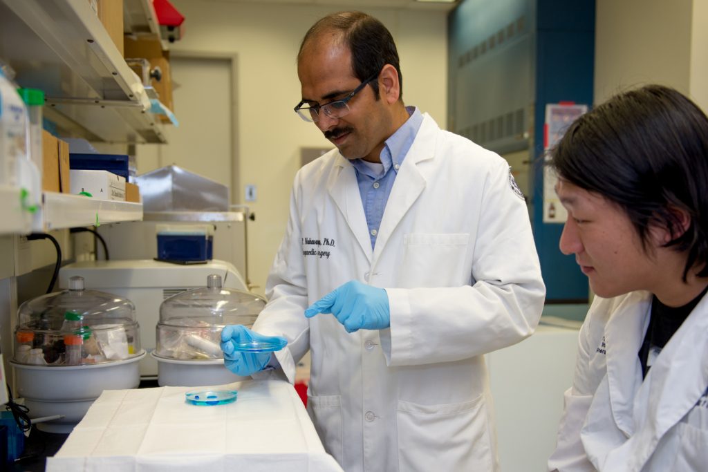 Syam Nukavarapu and Hyun Kim examine a specimen of the hybrid hydrogel in the laboratory at UConn Health. (Tina Encarnacion/UConn Health Photo)