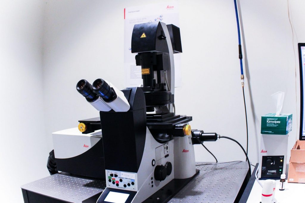 Microscope housed in the Advanced Light Microscopy Facility. (Carson Stifel/UConn Photo)