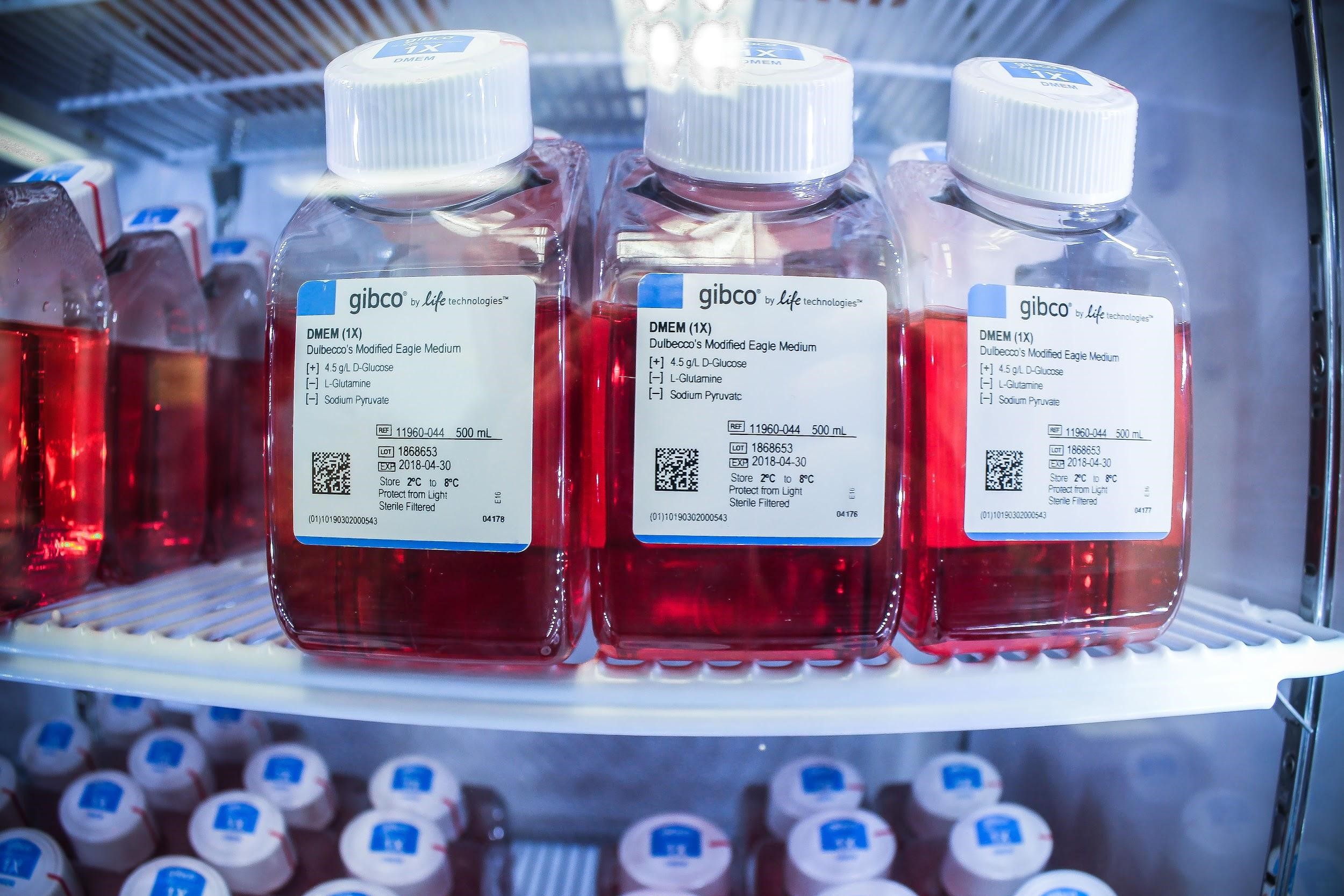 The BioSupply facility is to some researchers what the UConn Bookstore is to undergraduates. (Carson Stifel/UConn Photo)