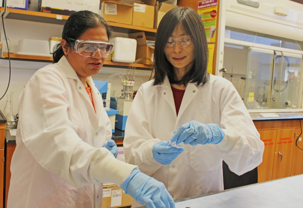 Xiuling Lu and Rajeswari Kasi at UConn