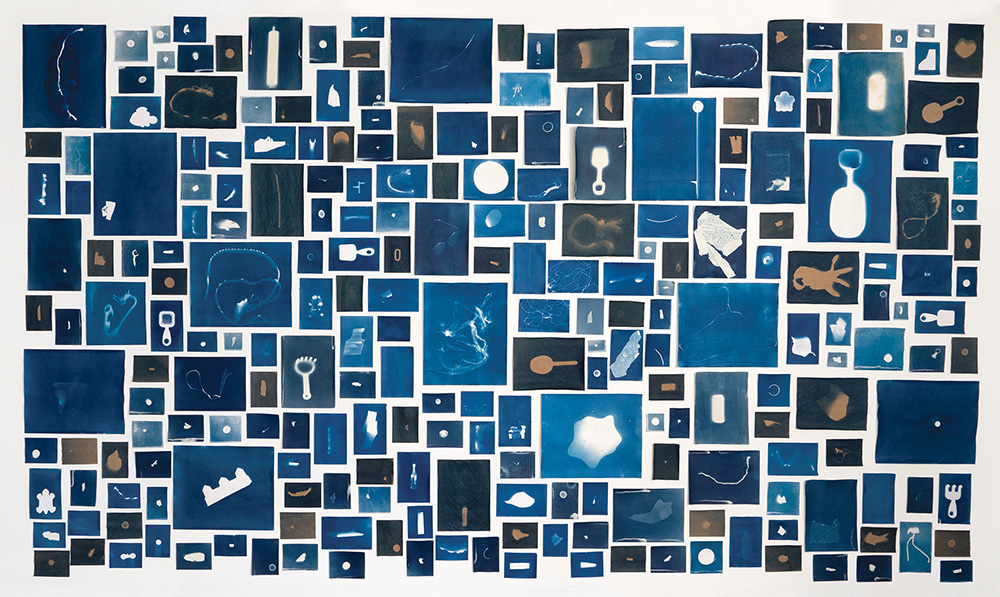 Elizabeth Ellenwood, "November 3, 2018 Collection," (2018), Installation of 240 cyanotype prints (courtesy of the artist).