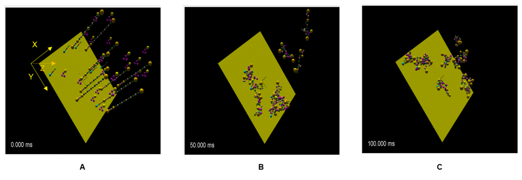 A SpringSaLaD simulation of how molecules protruding from a cell membrane can bind to molecules diffusing in the cytoplasm to produce clusters. Shown are snapshots from 3 time points in the simulation.