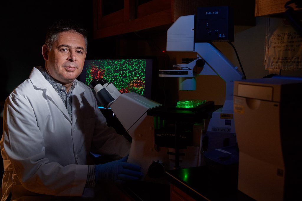 Paulo Verardi in his lab at UConn.