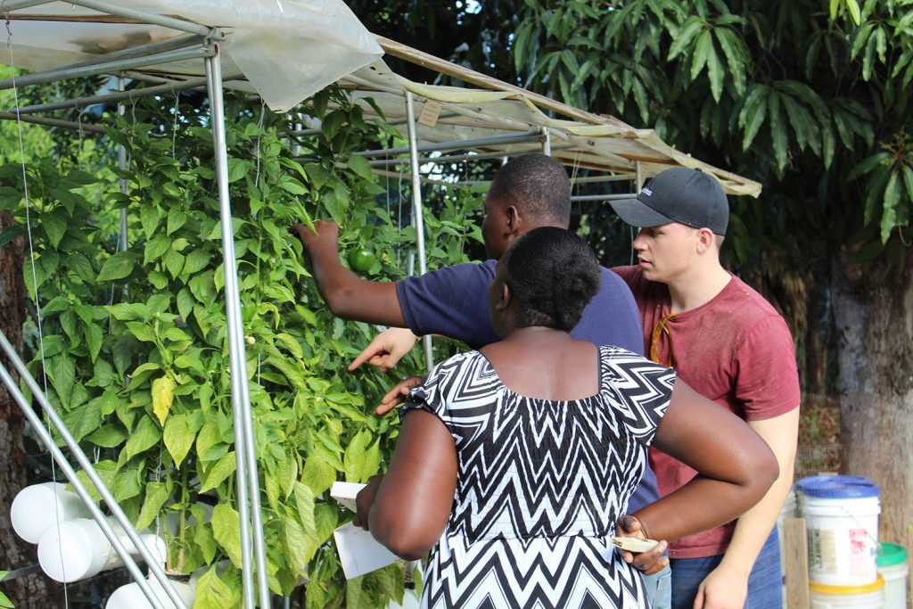 Christian Heiden works with members of the Levo team in Haiti.