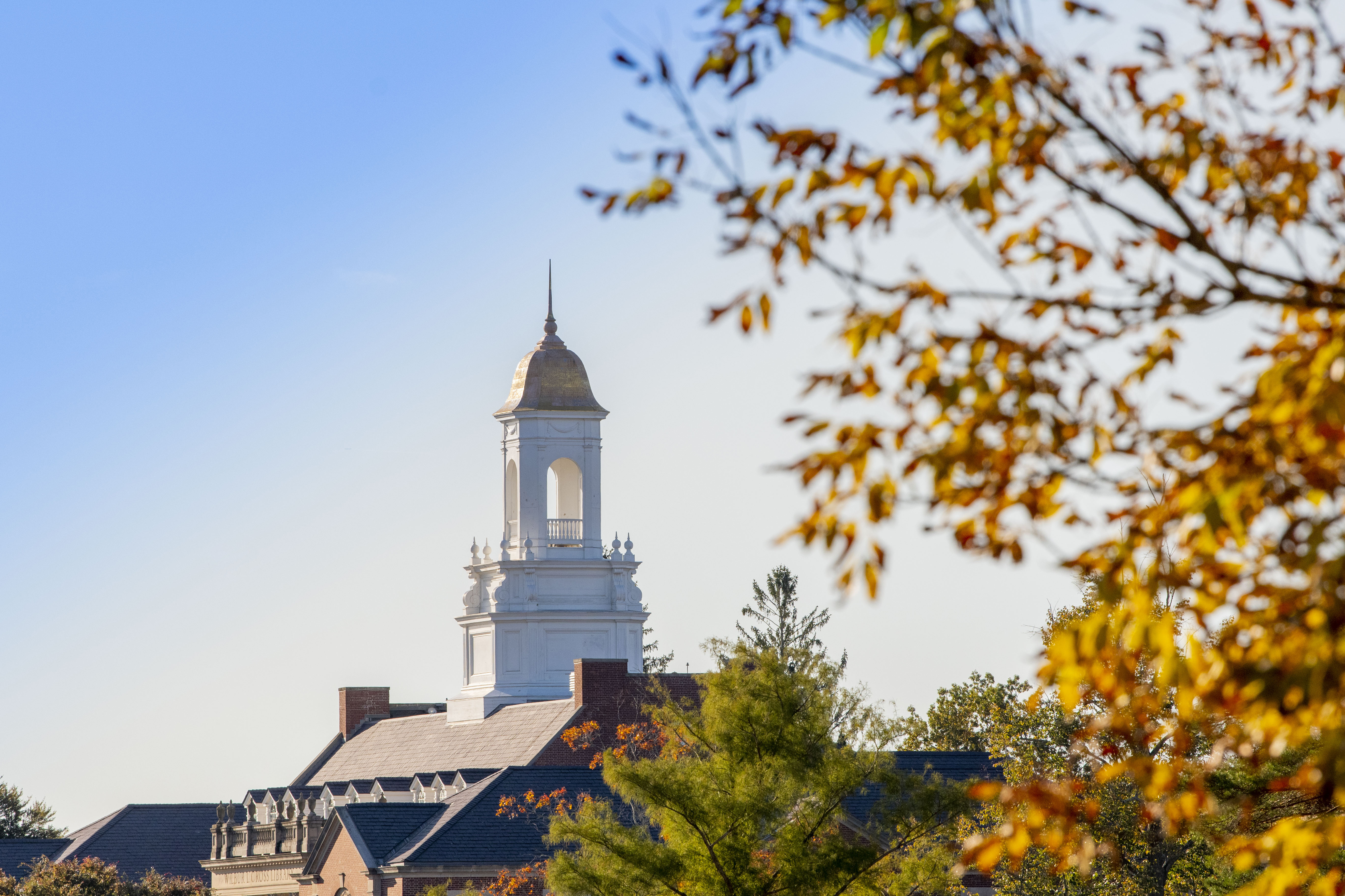 Wilbur Cross building on a fall day on Oct. 15, 2019.