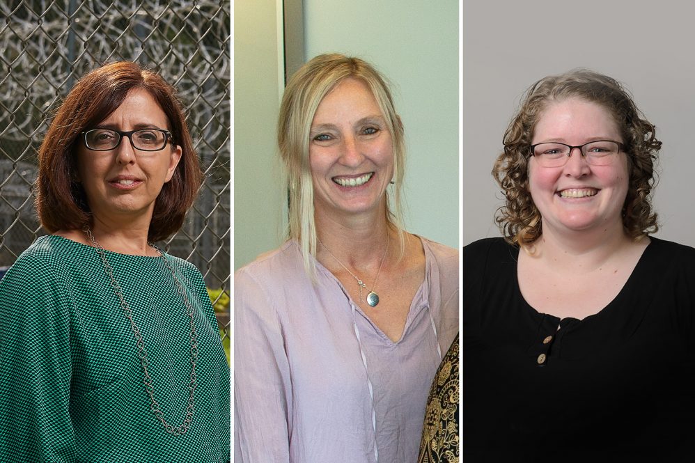 Headshots of Kimberly Bergendahl, Holly Fitch, and Erin Scanlon.