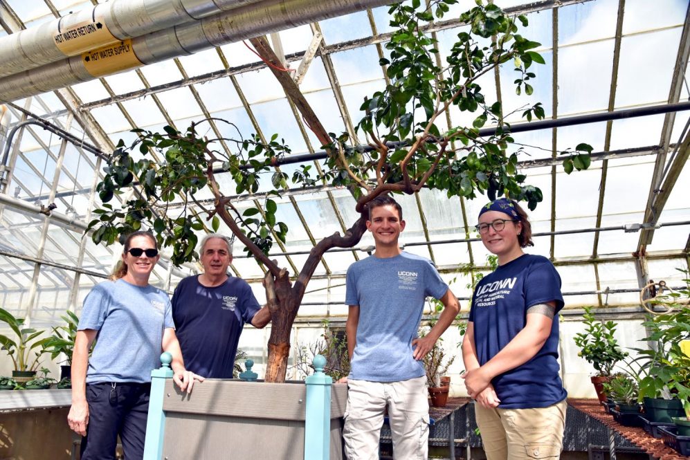 Four people stand near an orange tree