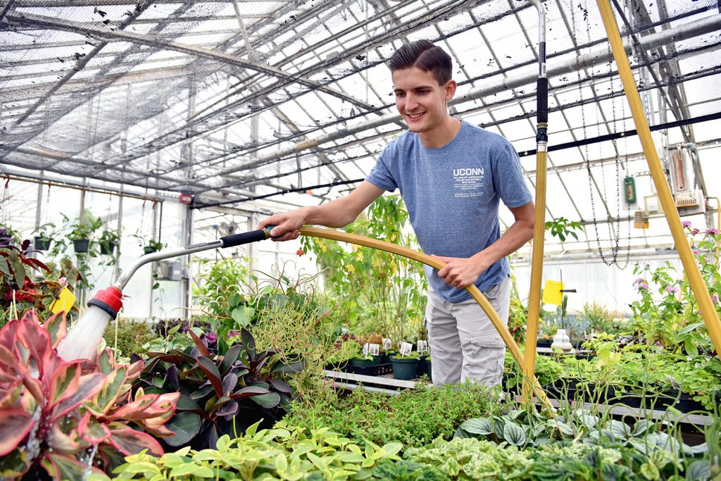 Robbie Eselby waters a plant in a greenhouse.