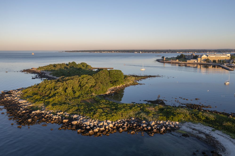 Shoreline off Avery Point Summer 2021