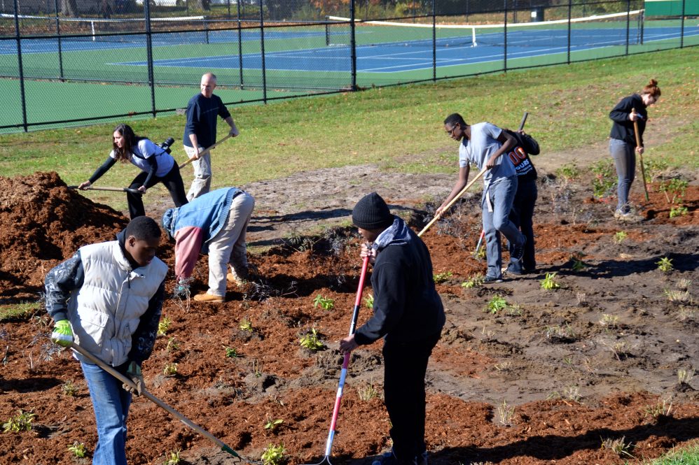 A group of seven people uses garden tools to make a clearing for rain garden installation on school grounds.