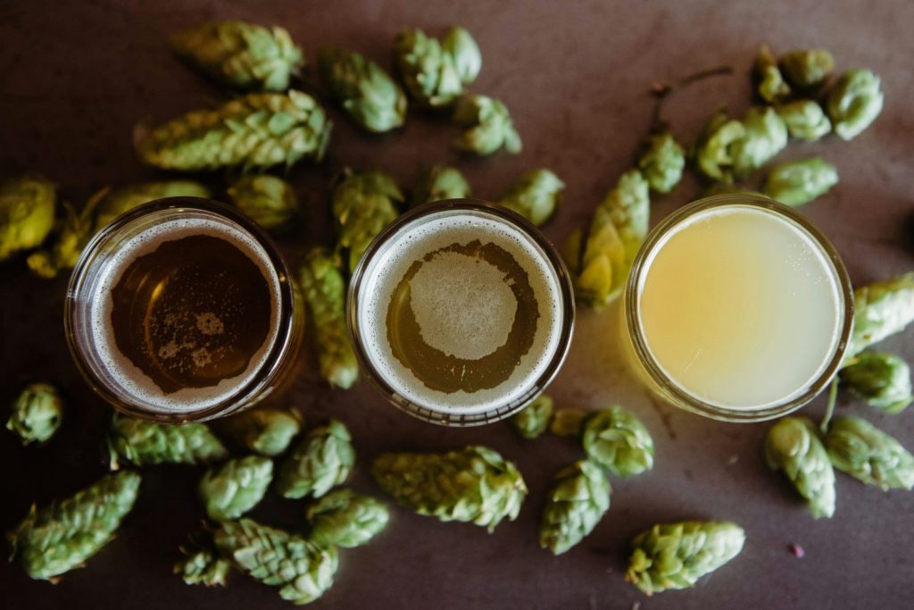 Hops and beer glasses